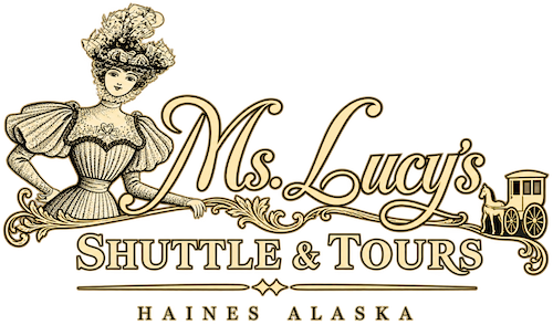 Ms. Lucy’s Shuttle & Tours